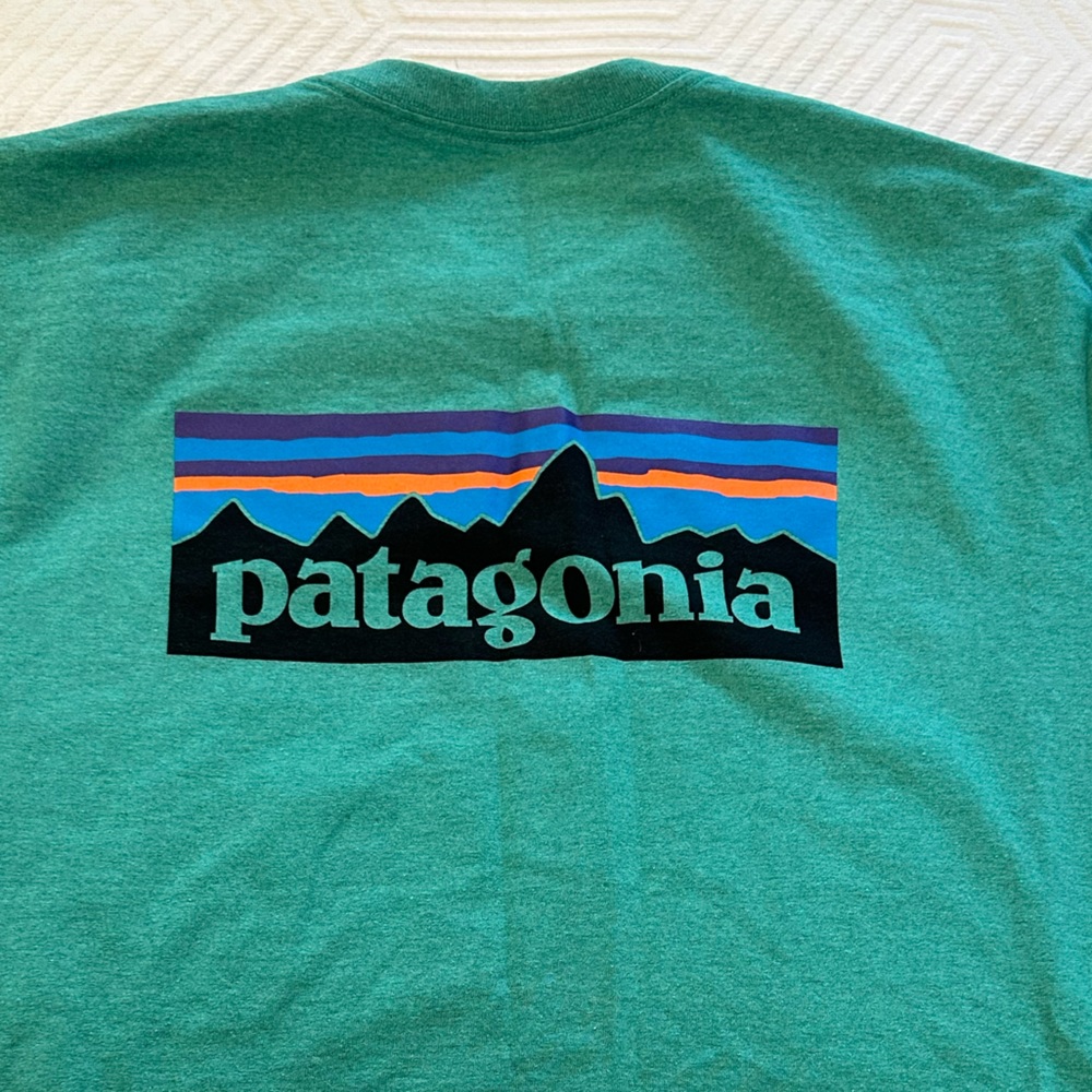 Patagonia T shirt Green